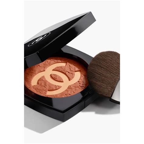 chanel douceur des equinoxe powder blush|Chanel blush stick.